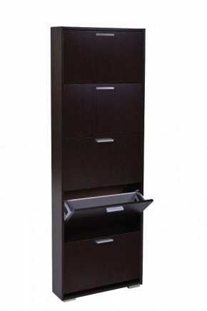 Шкаф для обуви УК-5 10000130 в Заречном - zarechnyy.mebel24.online | фото