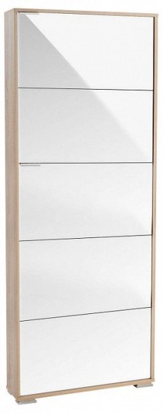 Шкаф для обуви Viva-5LW в Заречном - zarechnyy.mebel24.online | фото