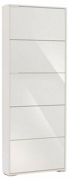 Шкаф для обуви Viva-5S в Заречном - zarechnyy.mebel24.online | фото