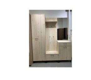 Шкаф для одежды 2-х дверный София 1 в Заречном - zarechnyy.mebel24.online | фото 6