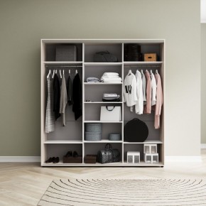 Шкаф-купе Акцент-Лайт ДЗ 2100-600 в Заречном - zarechnyy.mebel24.online | фото 7