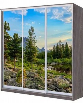 Шкаф-купе ХИТ 22-20/2-777 ПРИРОДА в Заречном - zarechnyy.mebel24.online | фото
