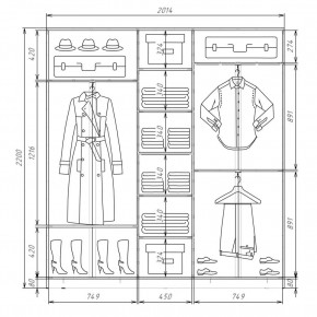 Шкаф-купе ХИТ 22-4-20-151 (420) в Заречном - zarechnyy.mebel24.online | фото 2