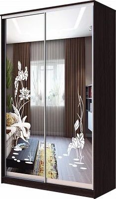 Шкаф-купе ХИТ 23-15-66 ЦАПЛИ в Заречном - zarechnyy.mebel24.online | фото