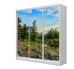 Шкаф-купе ХИТ 23-18-777 (620) в Заречном - zarechnyy.mebel24.online | фото