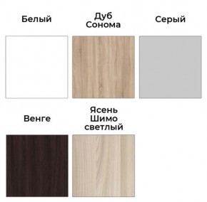 Шкаф-купе ХИТ 23-24/2-7777 (620) в Заречном - zarechnyy.mebel24.online | фото 2