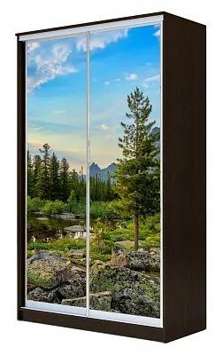 Шкаф-купе ХИТ 23-4-15-77 ПРИРОДА в Заречном - zarechnyy.mebel24.online | фото