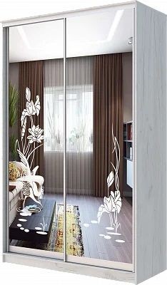 Шкаф-купе ХИТ 24-14-66 ЦАПЛИ в Заречном - zarechnyy.mebel24.online | фото
