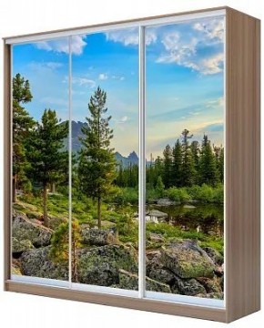 Шкаф-купе ХИТ 24-20/2-777 ПРИРОДА в Заречном - zarechnyy.mebel24.online | фото