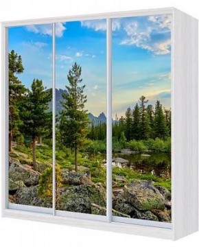 Шкаф-купе ХИТ 24-4-18-777 ПРИРОДА в Заречном - zarechnyy.mebel24.online | фото