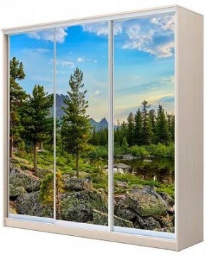 Шкаф-купе ХИТ 24-4-20-777 ПРИРОДА в Заречном - zarechnyy.mebel24.online | фото