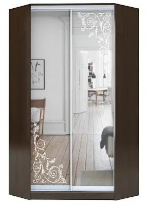 Шкаф-купе ХИТ-У-R-22-64-66 ОРНАМЕНТ в Заречном - zarechnyy.mebel24.online | фото