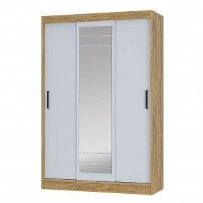 Шкаф-купе Тео ШКК-02 (крафт/белый) в Заречном - zarechnyy.mebel24.online | фото 2
