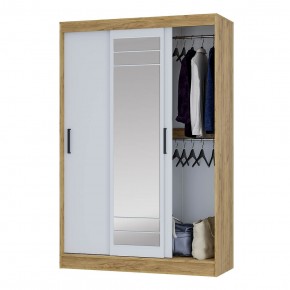 Шкаф-купе Тео ШКК-02 (крафт/белый) в Заречном - zarechnyy.mebel24.online | фото 3