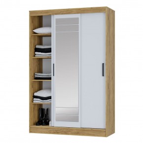 Шкаф-купе Тео ШКК-02 (крафт/белый) в Заречном - zarechnyy.mebel24.online | фото 4