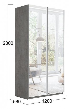 Шкаф-купе Траст СШК 2.120.60-13.13 в Заречном - zarechnyy.mebel24.online | фото 3
