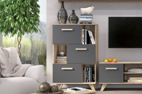 Шкаф низкий с нишами Вега Скандинавия в Заречном - zarechnyy.mebel24.online | фото 6