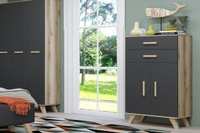 Шкаф низкий Вега Скандинавия в Заречном - zarechnyy.mebel24.online | фото 8