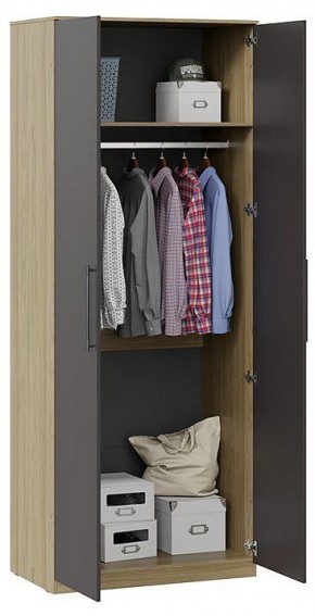 Шкаф платяной Агата в Заречном - zarechnyy.mebel24.online | фото 2