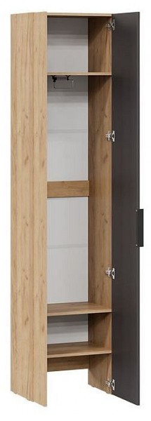 Шкаф платяной Асти в Заречном - zarechnyy.mebel24.online | фото 2
