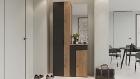 Шкаф платяной Асти в Заречном - zarechnyy.mebel24.online | фото 5