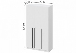Шкаф платяной Бирма ШК-1200 в Заречном - zarechnyy.mebel24.online | фото 4