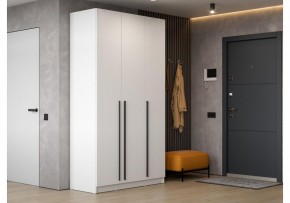 Шкаф платяной Бирма ШК-1200 в Заречном - zarechnyy.mebel24.online | фото 5