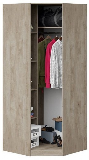 Шкаф платяной Эмбер СМ-348.07.007 L в Заречном - zarechnyy.mebel24.online | фото 4