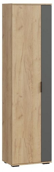 Шкаф платяной Эвита в Заречном - zarechnyy.mebel24.online | фото