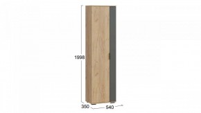 Шкаф платяной Эвита в Заречном - zarechnyy.mebel24.online | фото 4