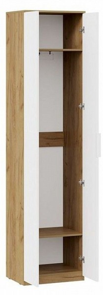 Шкаф платяной Хилтон Исп. 2 в Заречном - zarechnyy.mebel24.online | фото 2