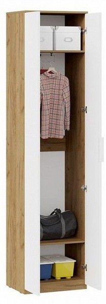 Шкаф платяной Хилтон Исп. 2 в Заречном - zarechnyy.mebel24.online | фото 3