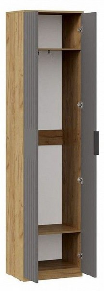 Шкаф платяной Хилтон Исп. 2 в Заречном - zarechnyy.mebel24.online | фото 2