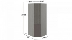 Шкаф платяной Либерти СМ-297.07.033 в Заречном - zarechnyy.mebel24.online | фото 3
