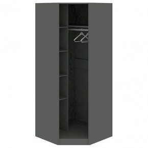 Шкаф платяной Наоми СМ-208.07.06 R в Заречном - zarechnyy.mebel24.online | фото 2