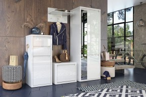 Шкаф платяной Норден СТЛ.413.01 в Заречном - zarechnyy.mebel24.online | фото 4