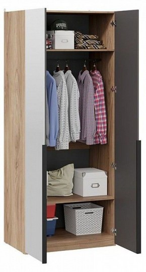 Шкаф платяной Порто СМ-393.07.005 в Заречном - zarechnyy.mebel24.online | фото 3