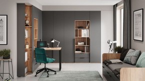 Шкаф платяной Порто СМ-393.07.223 в Заречном - zarechnyy.mebel24.online | фото 9