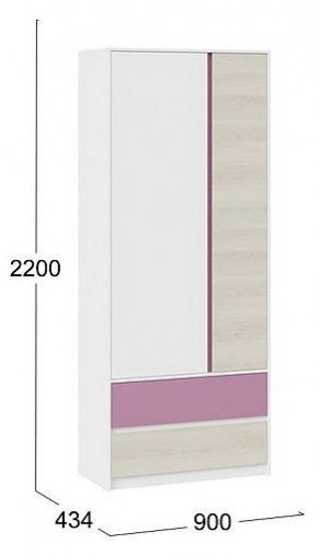 Шкаф платяной Сканди в Заречном - zarechnyy.mebel24.online | фото 5
