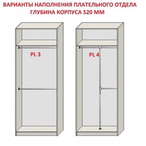 Шкаф распашной серия «ЗЕВС» (PL3/С1/PL2) в Заречном - zarechnyy.mebel24.online | фото 10