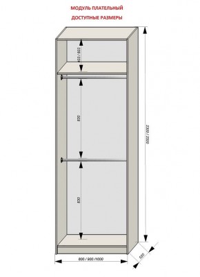 Шкаф распашной серия «ЗЕВС» (PL3/С1/PL2) в Заречном - zarechnyy.mebel24.online | фото 12