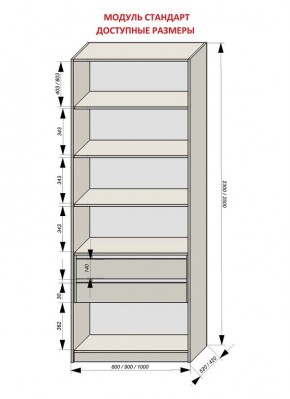 Шкаф распашной серия «ЗЕВС» (PL3/С1/PL2) в Заречном - zarechnyy.mebel24.online | фото 13