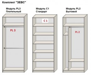 Шкаф распашной серия «ЗЕВС» (PL3/С1/PL2) в Заречном - zarechnyy.mebel24.online | фото 2