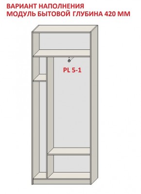 Шкаф распашной серия «ЗЕВС» (PL3/С1/PL2) в Заречном - zarechnyy.mebel24.online | фото 4