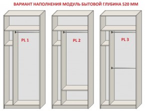 Шкаф распашной серия «ЗЕВС» (PL3/С1/PL2) в Заречном - zarechnyy.mebel24.online | фото 5