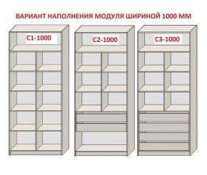 Шкаф распашной серия «ЗЕВС» (PL3/С1/PL2) в Заречном - zarechnyy.mebel24.online | фото 7