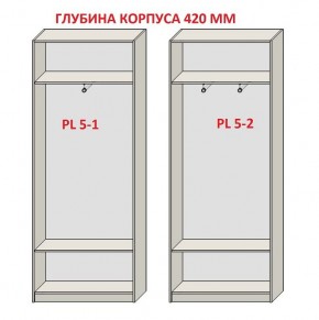 Шкаф распашной серия «ЗЕВС» (PL3/С1/PL2) в Заречном - zarechnyy.mebel24.online | фото 8