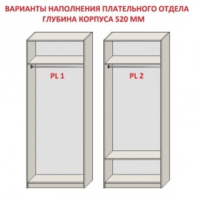 Шкаф распашной серия «ЗЕВС» (PL3/С1/PL2) в Заречном - zarechnyy.mebel24.online | фото 9