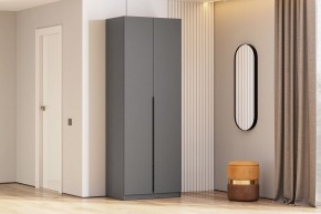 Шкаф ШК-5 + 2 полки (800) Графит серый в Заречном - zarechnyy.mebel24.online | фото 2