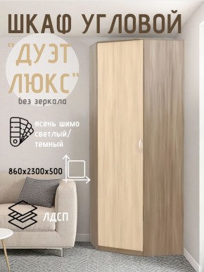 Шкаф угловой Дуэт Люкс без зеркала в Заречном - zarechnyy.mebel24.online | фото 7